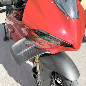 CARBONVANI J[{o[j DUCATI V4S 2025 ECOELbg EZbg hDJeB