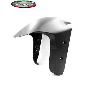 CARBONVANI J[{o[j DUCATI V4S 2025 tgEtF_[ hDJeB