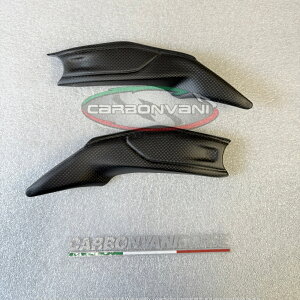 CARBONVANI J[{o[j DUCATI V4S 2025 A_[EV[gJo[ hDJeB