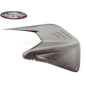 CARBONVANI J[{o[j PANIGALE V4 V4S 2025 Abp[`F[K[h J[{ hDJeB