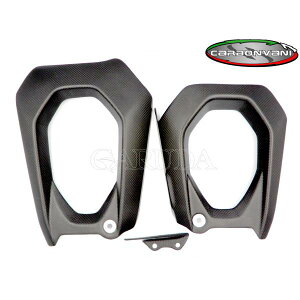 CARBONVANI J[{o[j DUCATI V4S 2025 XCOEA[K[h hDJeB