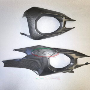 CARBONVANI J[{o[j DUCATI V4S 2025 tXCOA[K[h hDJeB