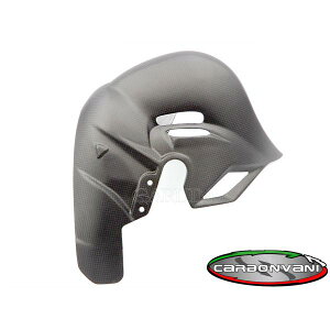 CARBONVANI J[{o[j DUCATI V4S 2025 q[gK[h EURO5vX hDJeB