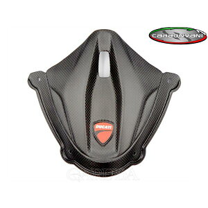 CARBONVANI J[{o[j DUCATI V4S 2025 [^[Jo[ hDJeB