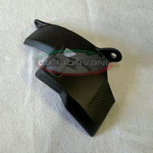 CARBONVANI J[{o[j DUCATI V4S 2025 Abp[E`F[Jo[ hDJeB
