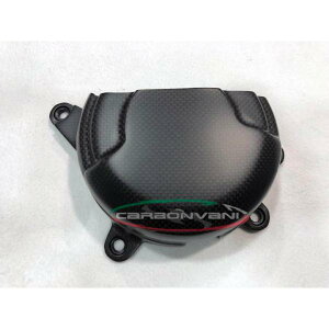 CARBONVANI J[{o[j DUCATI V4S 2025 WFl[^[P[XJo[ hDJeB