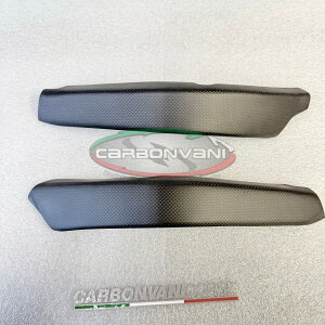 CARBONVANI J[{o[j DUCATI V4S 2025 t[Jo[ hDJeB