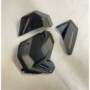 CARBONVANI J[{o[j DUCATI V4S 2025 V_[Jo[Lbg 3s[X hDJeB