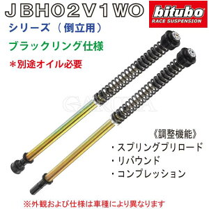 bitubo �r�`���[�{ Z900RS/CAFE(18-) �J���T�L��p �t�����g�C���i�[�J�[�g���b�W K0109JBH02V1WO Kawasaki