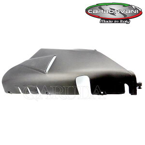 PANIGALE V4.V4S 2025F{gJE BellyPan / J[{ECARBONVANI(J[{o[j)hDJeB