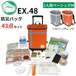 ���e�b�N�X EX48CXWM2B/G �h�Ѓo�b�OTANAKA �x�[�V�b�N M�T�C�Y2�l�p �J���[2�F(�V���o�[�O���[/�I�����W) �h�Ўm�u���U�[�Y���f��
