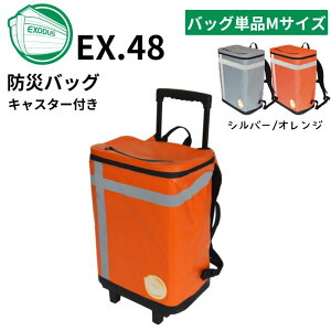 ebNX EXCXWT-M/G-M hЃobOTANAKA Pi LX^[t 1lpMTCY J[2F(Vo[O[/IW) hЎmuU[Yf