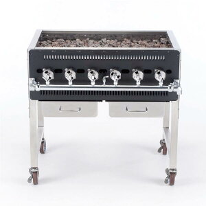 Vz[NX yBBQO[ GRILLER658 vpKXp^Ɩp [KXO JL ]sz^CvCt㕥s