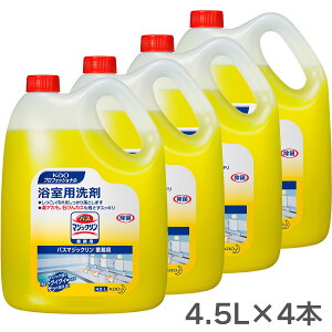 ԉvV[Y oX}WbN Ɩp 4.5L×4{