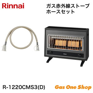 _10Iő100|CgobNIvGg[^ Rinnai iC KXԊOXg[u R-1220CMS3(D) KXR[hZbg 2024N