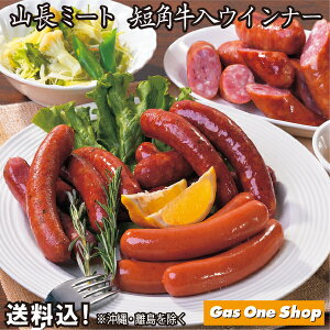 _12Iő100|CgobNIvGg[^ stR~[g ZpECi[Mtg 