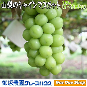_9Iő100|CgobNIvGg[^ _Ԍ̔I^ ݂̃VC}XJbg 1.3kgi2`3[j_ Y RY VN Mtg  Y VN }XJbg 