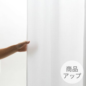 _12Iő100|CgobNIvGg[^ jx[ \sA 100TCY [XJ[e2