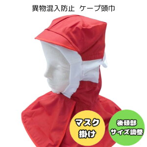 P[v ЖXq P[vLbv t[hLbv P[vX Xq  P[vt ٕh~ HiH HiH q qLbv qX  }XN }XN| cot  