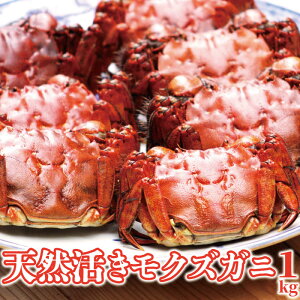 NYKjX L VRNYKj {̏CIƂĂLȓVR̊NYKj 1 1kg