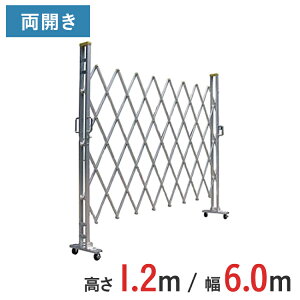 A~Q[g Lk J  1.2 m ×  6.0 m 12AYW-60-30 | ݃Q[g NXQ[g A~tFX tFX AR[fBIQ[g ֕Q[g EJ J