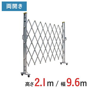 A~Q[g Lk J  2.1 m ×  9.6 m 21AYW-96-24 | ݃Q[g NXQ[g A~tFX tFX AR[fBIQ[g ֕Q[g EJ J