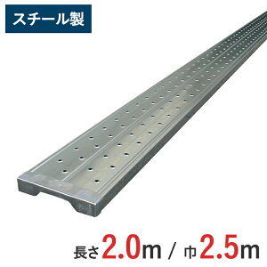 y|Cg10{z X`[  (2m) yOXe[W m@BYƁzyʑ BAN-2025HN 2.0m ݍHƉF荇ii