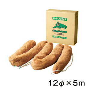 z ZtFXi12×500cmj oCIt[`[