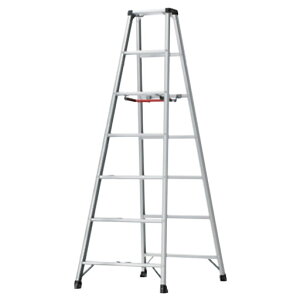 ��p�r�� �r�y(�A�V�K��) ���~�ʕ�69cm×���s123cm RZ-21C ���J��H�� [�l���z�s��]