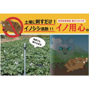 Qbޑu CmpS(30{) 3212215