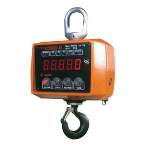 gь^dqݔ(nfBRX ll)2t ʁF2t@ڗʁF1kg 2ACBP 笖{X