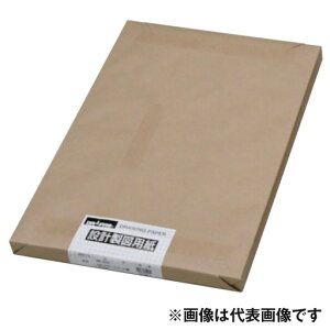 N[NPg A2 200 100 No.85-252 a