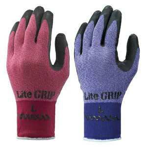 wXx~ߎ܁@CgObv@i10oj@NO341@V[O[u