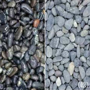 ���}�g�V�R�����@�V���i���񂨂������j�i20kg�j�}�c���g�Y��