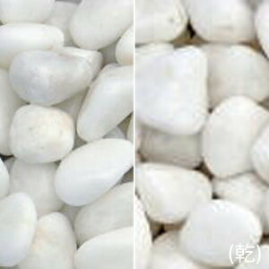 }gʍ@i͂ji20kgji10܃Zbgj}cgY [lzs]