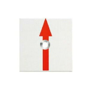 A~Ev[g  1 50p 50×50×2mm RAP50211 JN}