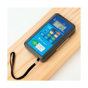 g؍ސv HS-300