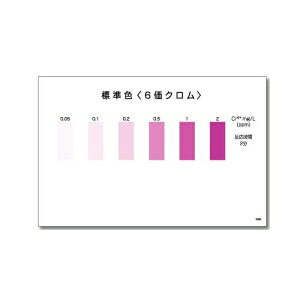 パックテスト 六価クロム 50ヶ入(反応時間:2分) WAK-Cr6+