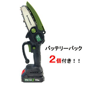 21V [d ptK[fCO\[ PGS-21 obe[2 v[g [lzs]