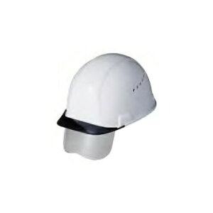 X~nbg Eā^V[ht SAX2CS-A ZFx[NCg