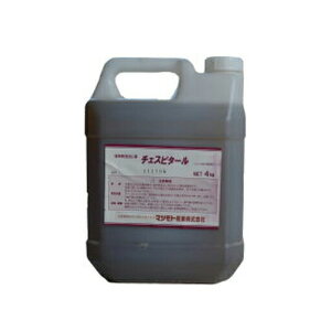 ʍ􂢏ot@`FXs^[@4kg|ʁ@}cgY