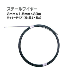 ʐHp@Đ@X`[C@ēd|@3mm×1.5mm×30m@SW-3153@WFtR@[DENSAN]