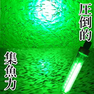 USBd W W ނ h  Cނ Dނ 邢  WCg oCobe[Ή Fishing light 镰 铔 AWނ AWO o ^`EI GMO TrL