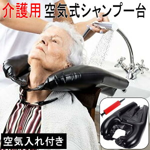 p Vv[ Q܂ܐł C   ܂肽ݎ Ct ȈՃVv[ p  Dw pi