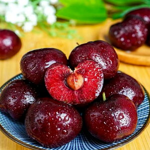 y1118zzv~A`F[ 2.5 嗱28-30mmb`Y h[uh AE{EbZȊÖƐH׉_btbV`F[b NԗЎqb