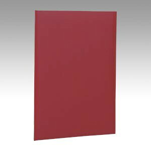 iJoV ؏t@C NX A4  FSH-A4R - [֕s