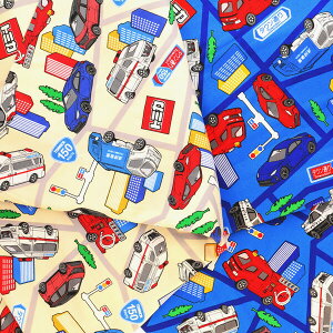 yIbNXz n g~J nCEFC 110cm 100cm Jbg j̎q pgJ[ 