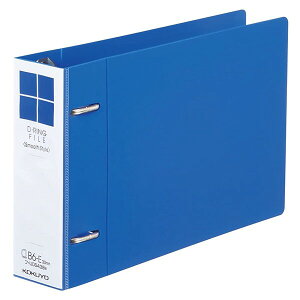 RN DOt@C X[XX^C B6   300e w45mm   [ ItBX - [֕s