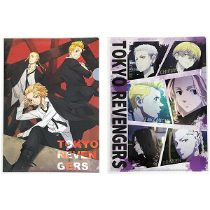   xW[Y VO A4 NAt@C 2Zbg - [֑Ώ