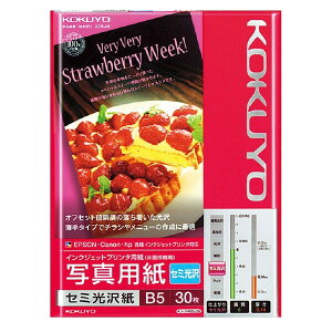 RN IJPpʐ^p Z~ B5 30 - [֑Ώ